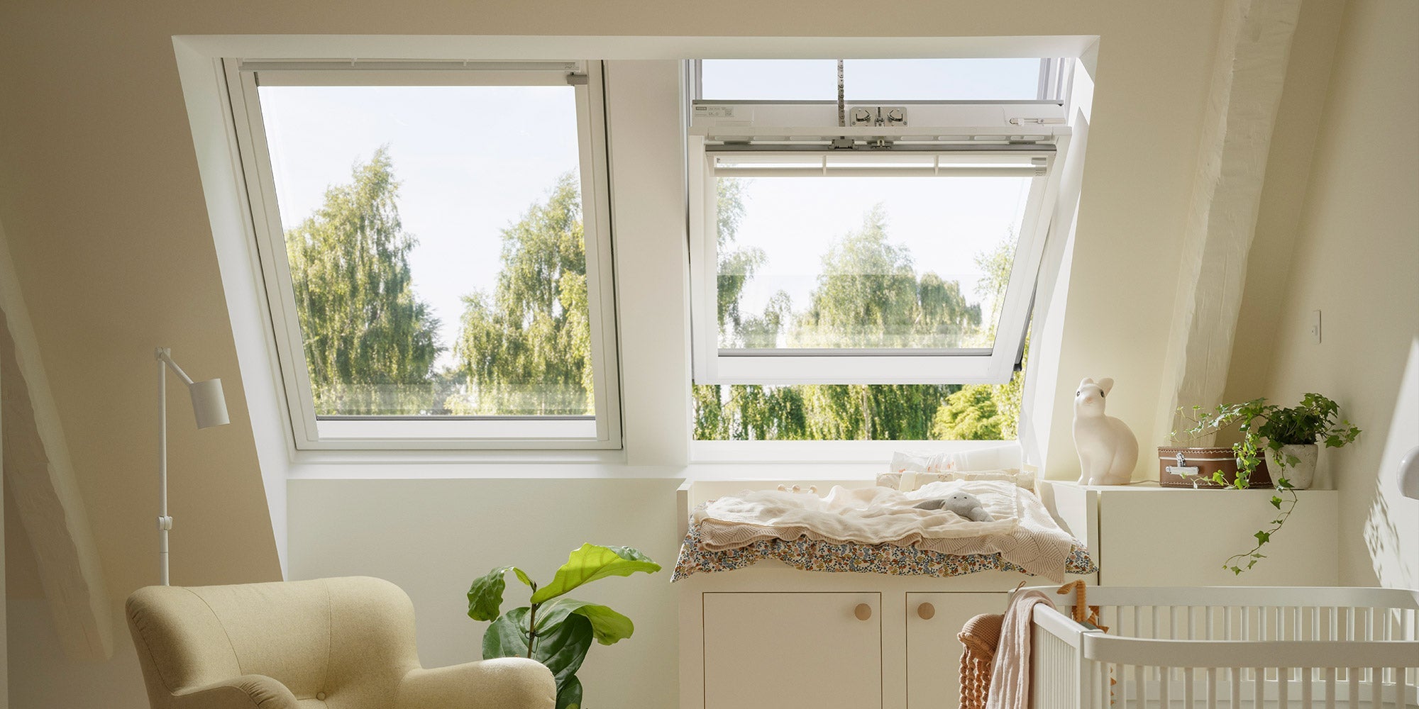 Duo & Blackout Blinds